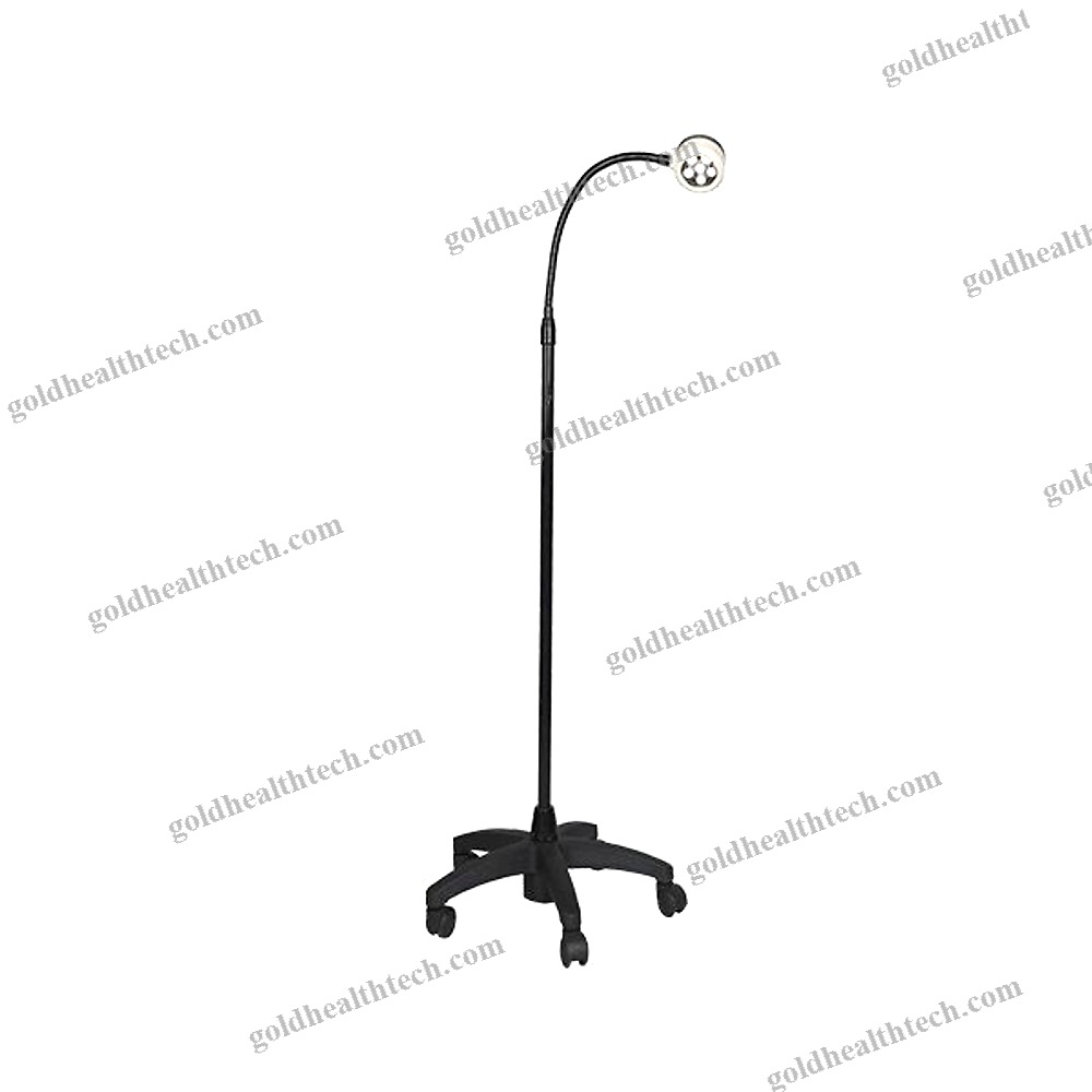 Veterinary Examination Light