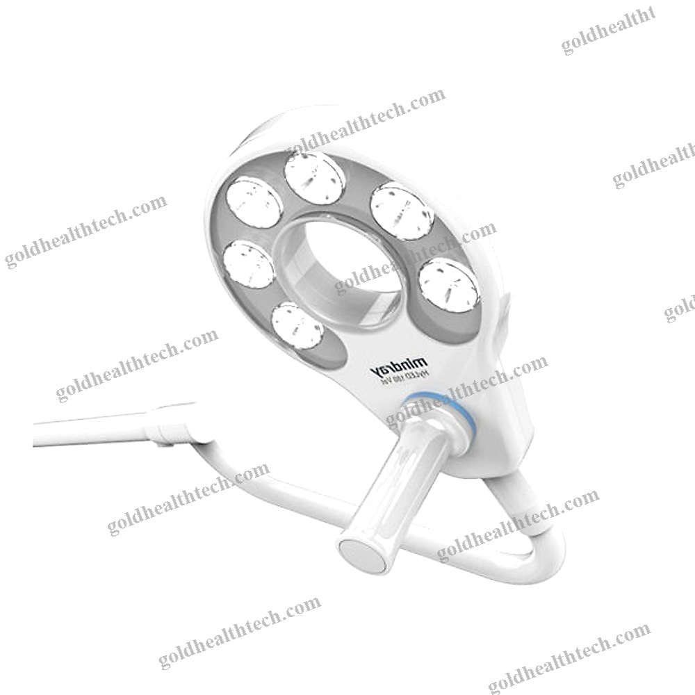 Veterinary Examination Light