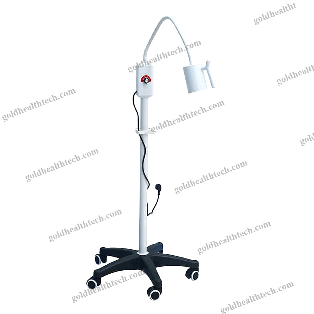 Veterinary Examination Light 1