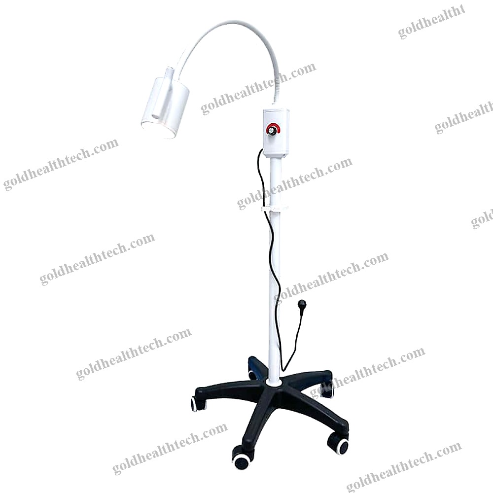 Veterinary Examination Light