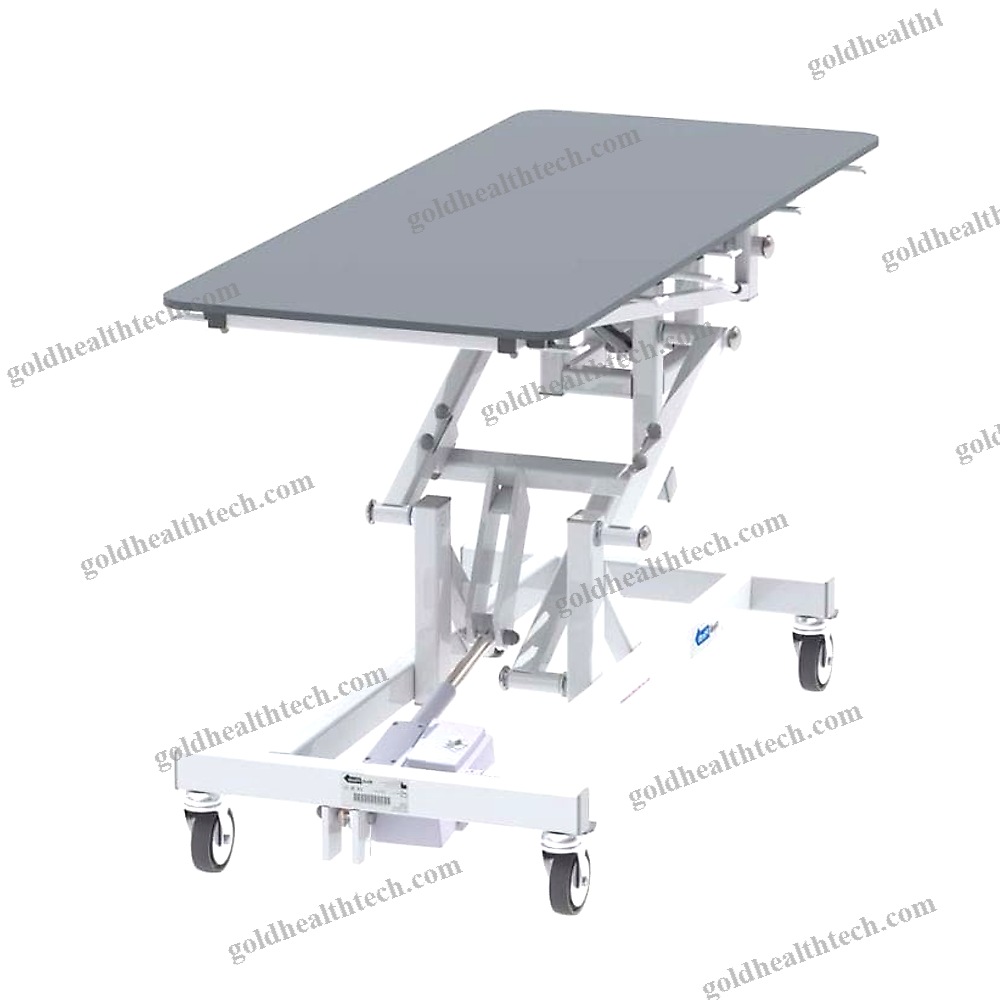 Veterinary Examination Table
