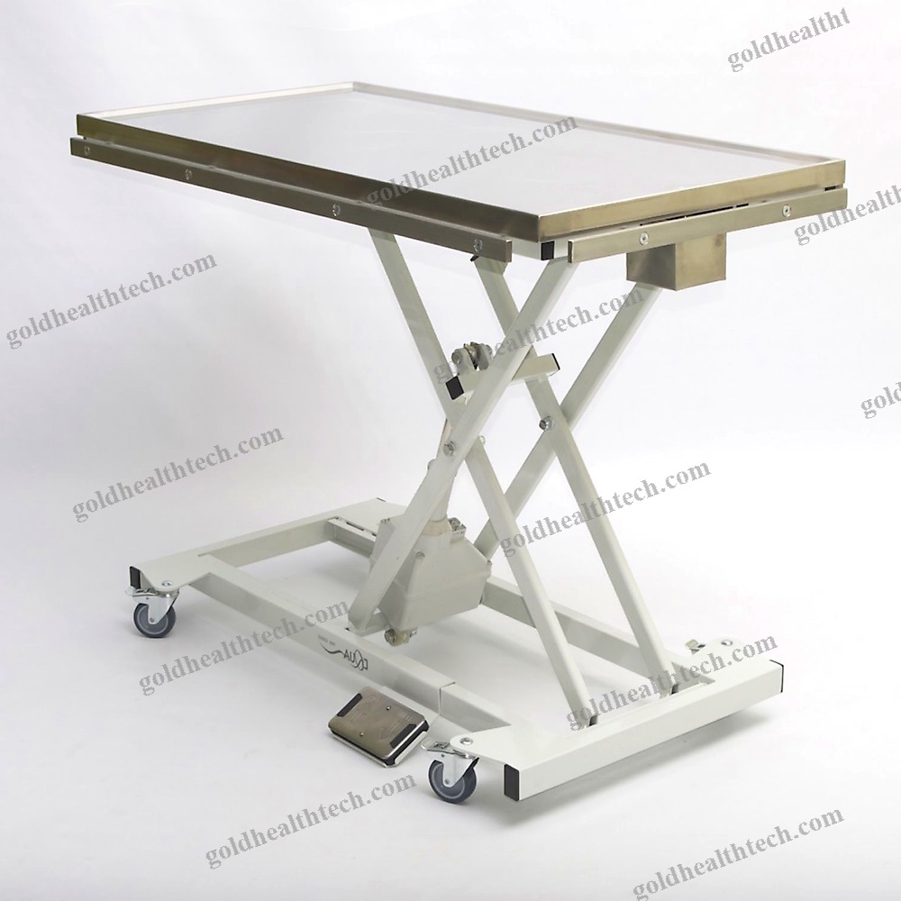 Veterinary Examination Table
