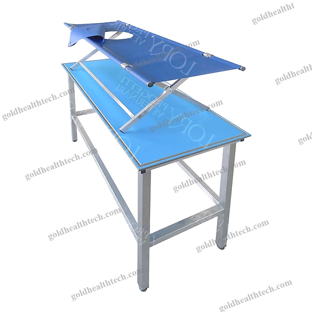 Veterinary Examination Table