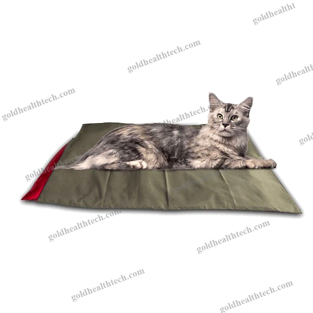 Veterinary Magnetic Therapy Unit