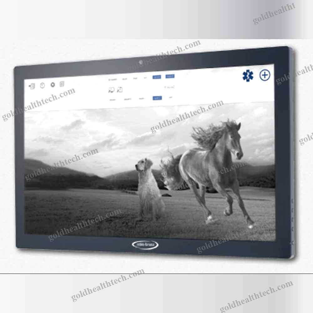 Veterinary Radiology Software