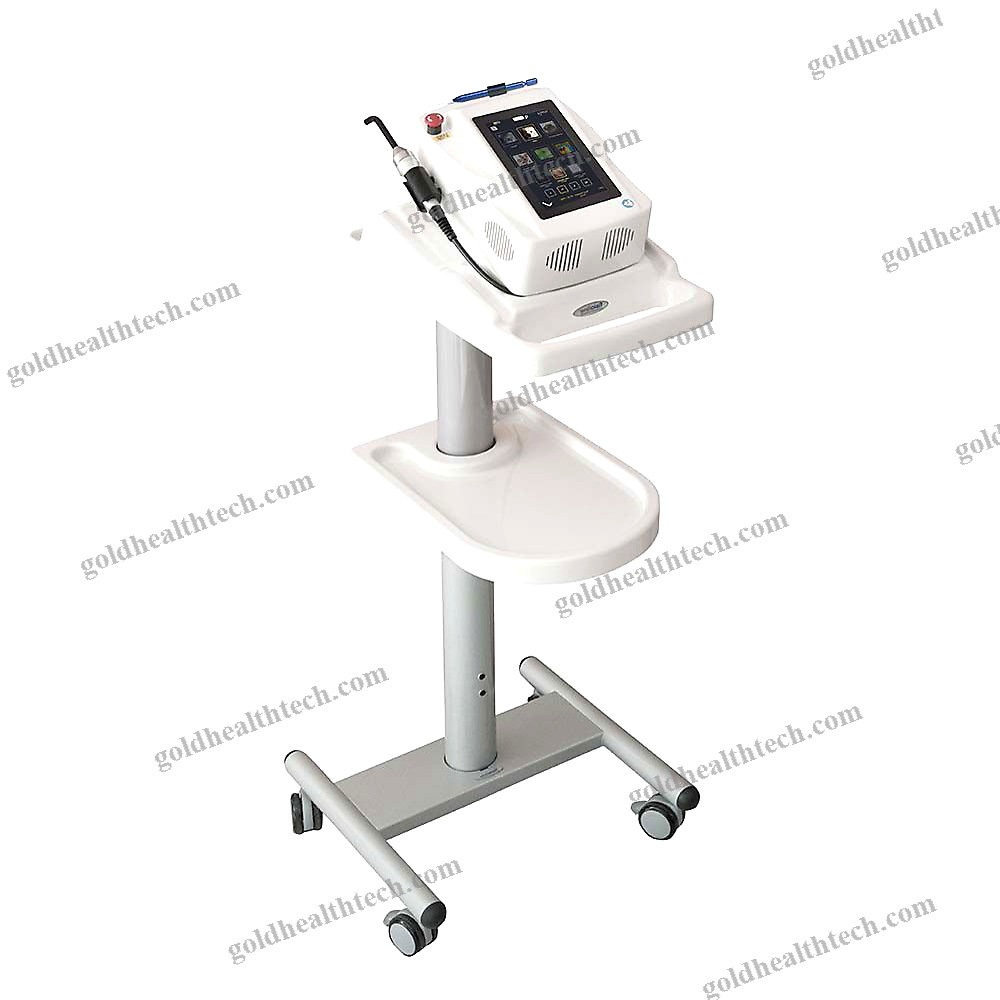 Veterinary Surgery Laser 1
