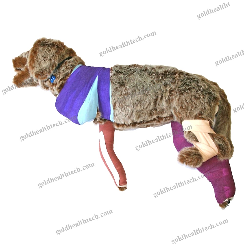 Veterinary Training Manikin