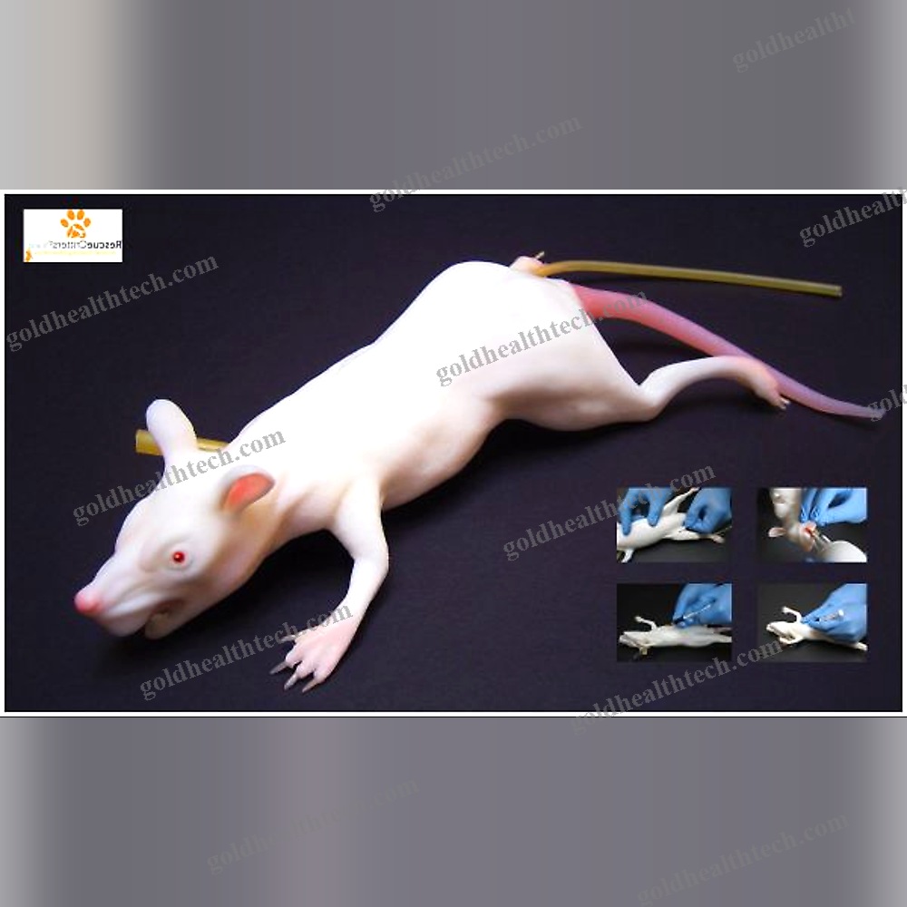 Veterinary Training Manikin