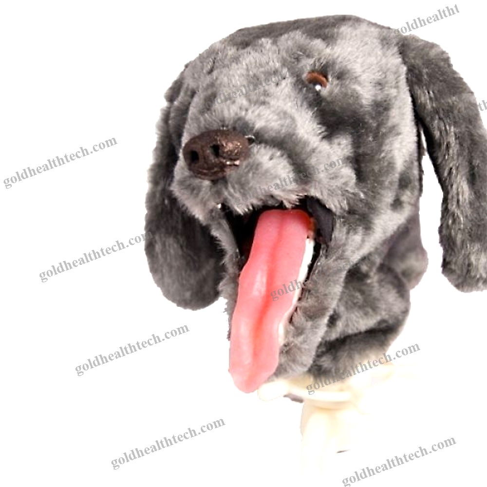 Veterinary Training Manikin
