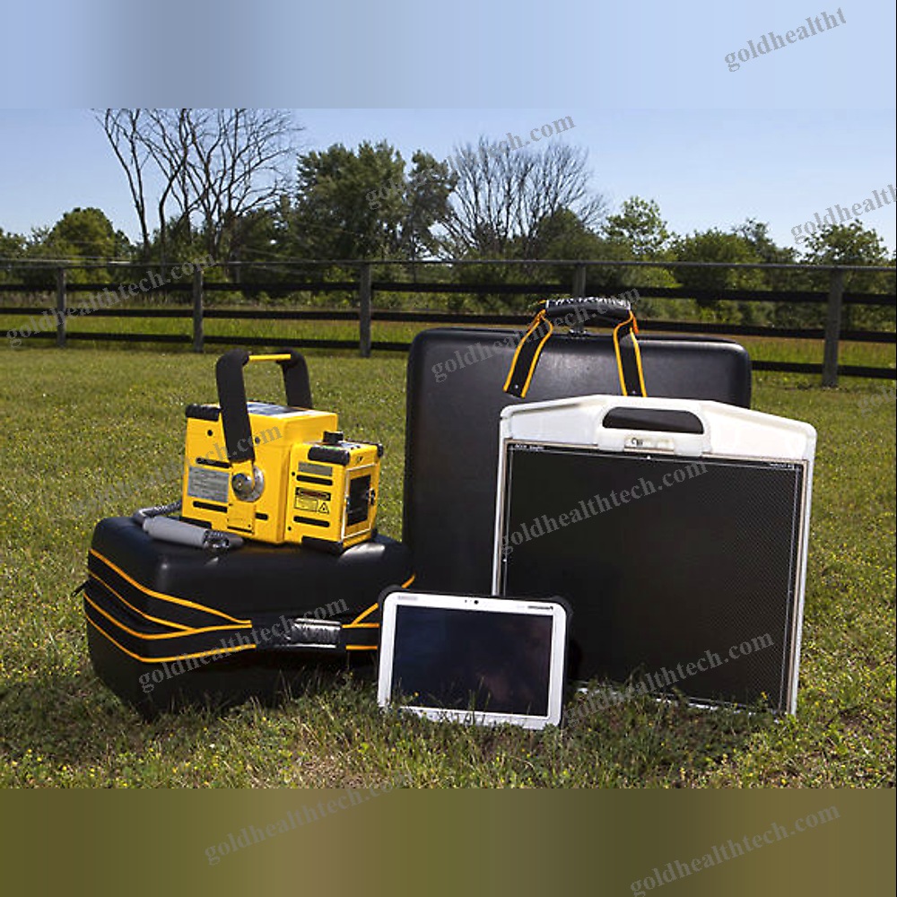 Veterinary X-Ray System 1