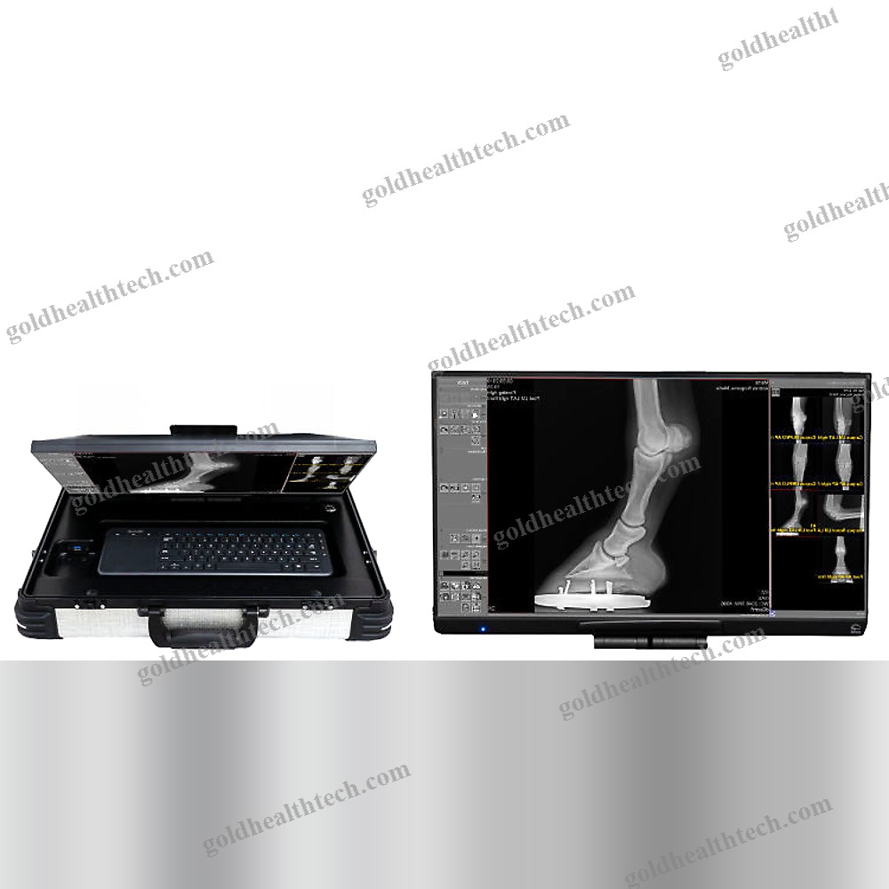 Veterinary X-Ray System 1