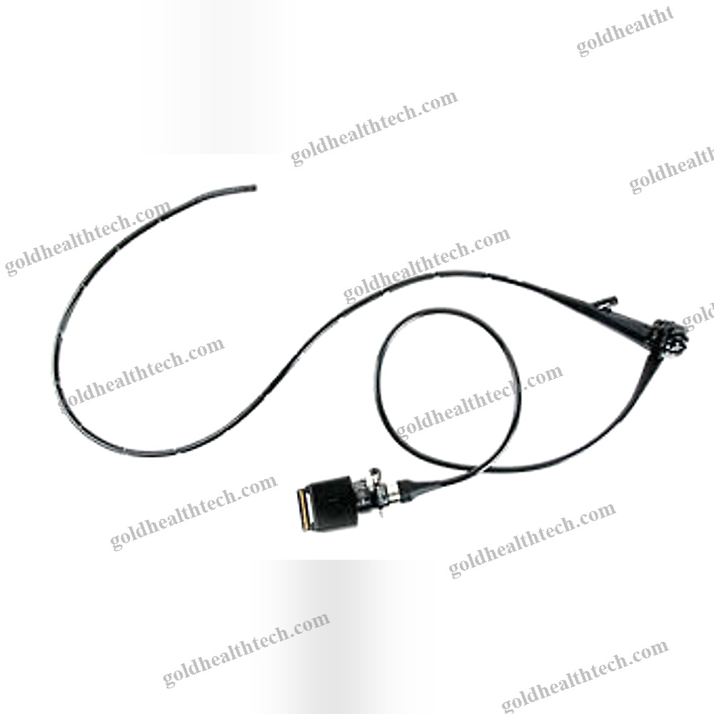 Video Veterinary Gastroscope 1