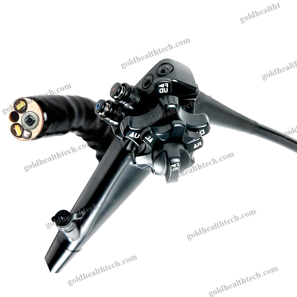 Video Veterinary Gastroscope