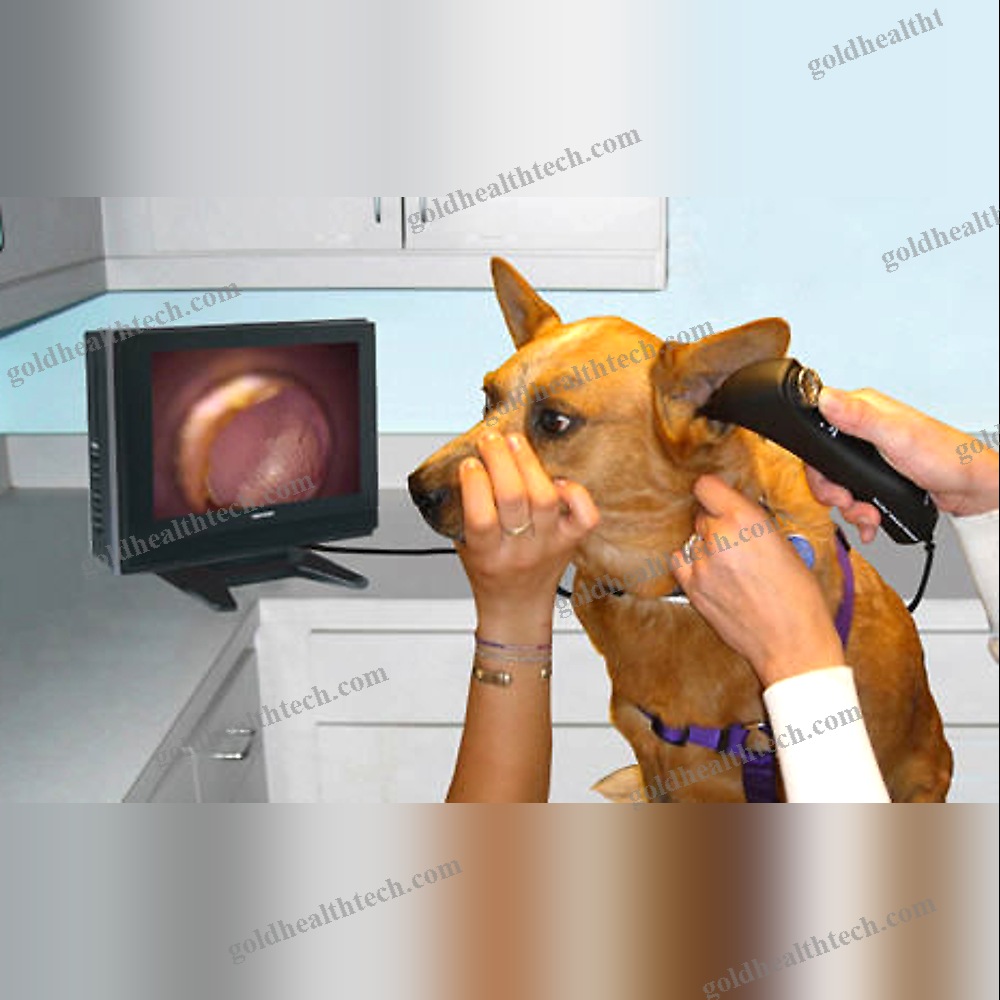 Video Veterinary Otoscope