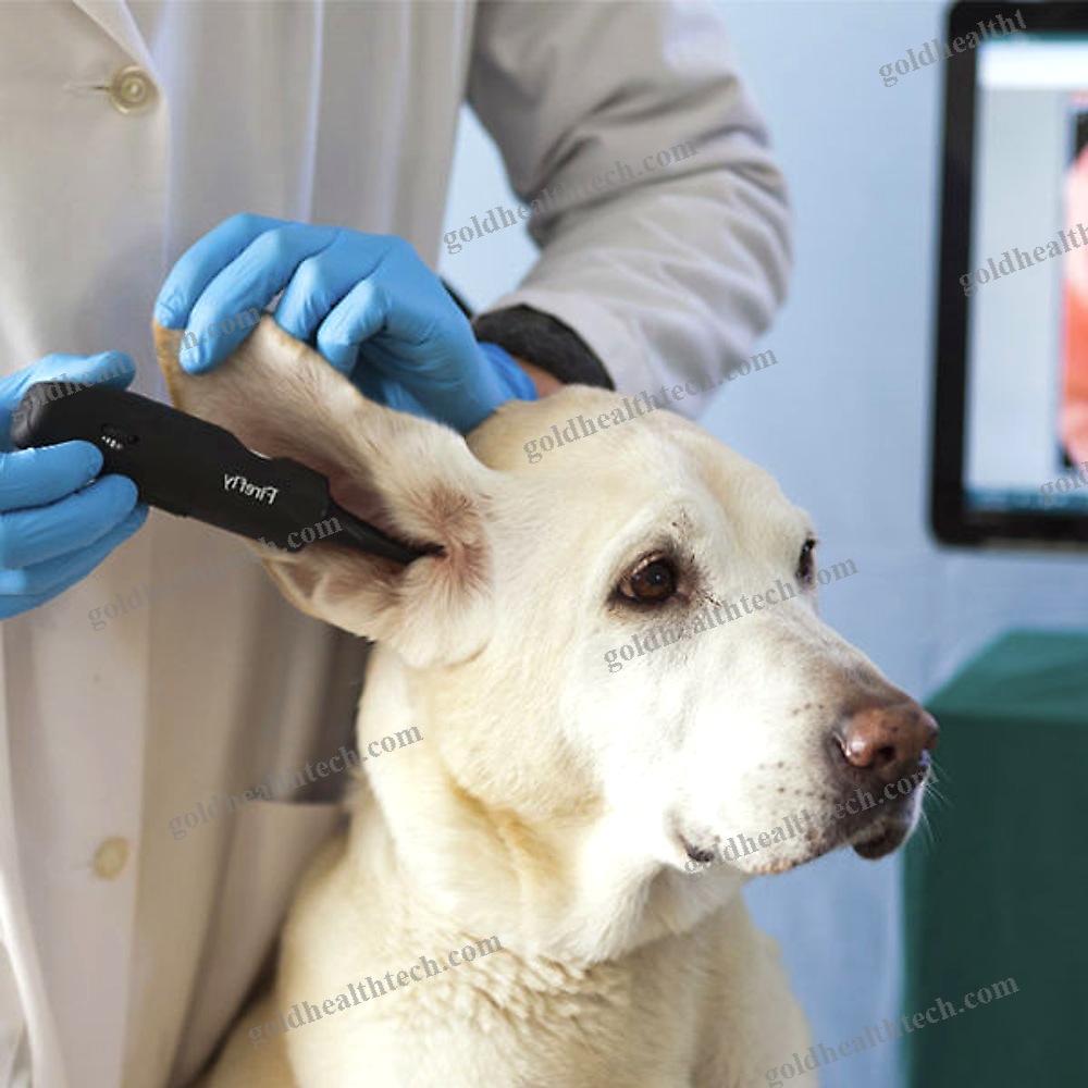 Video Veterinary Otoscope