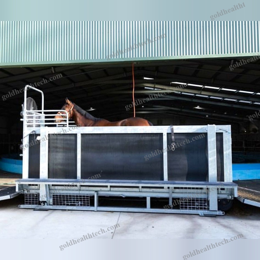 Walk Veterinary Treadmill 1