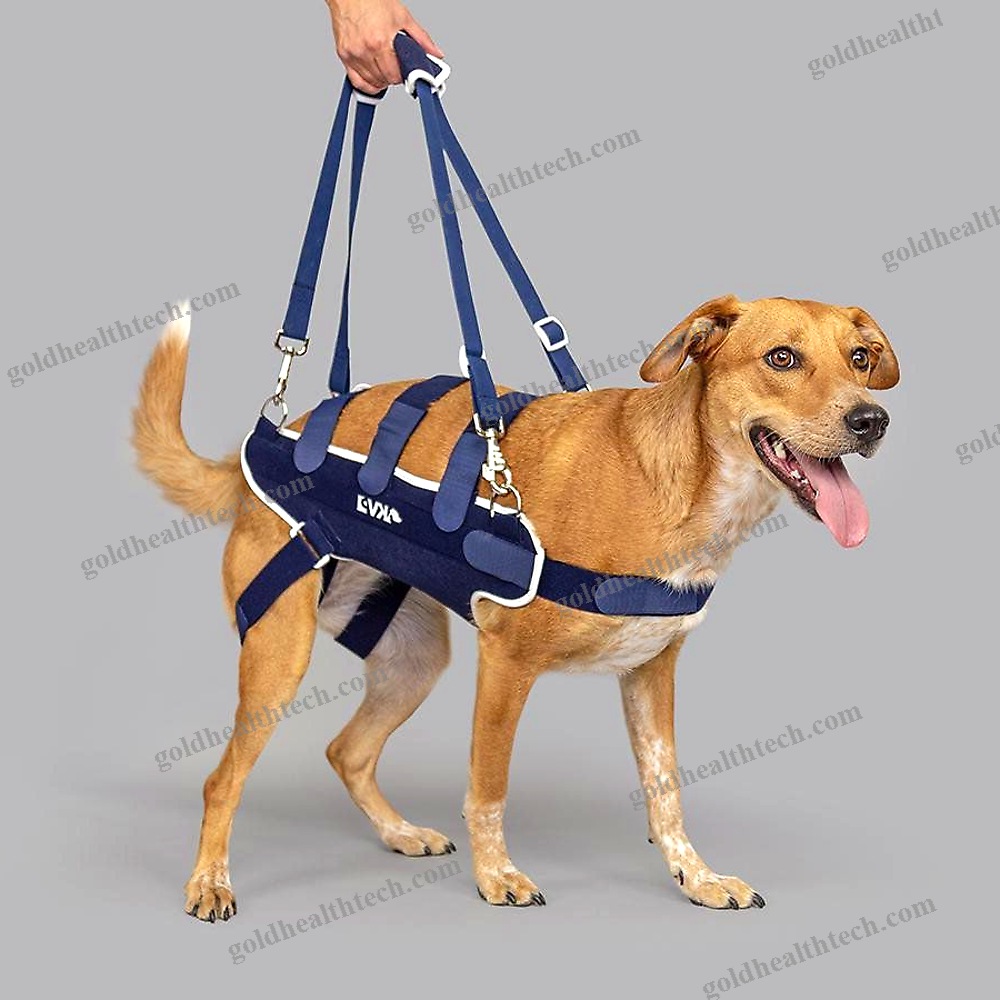 Walking Harness