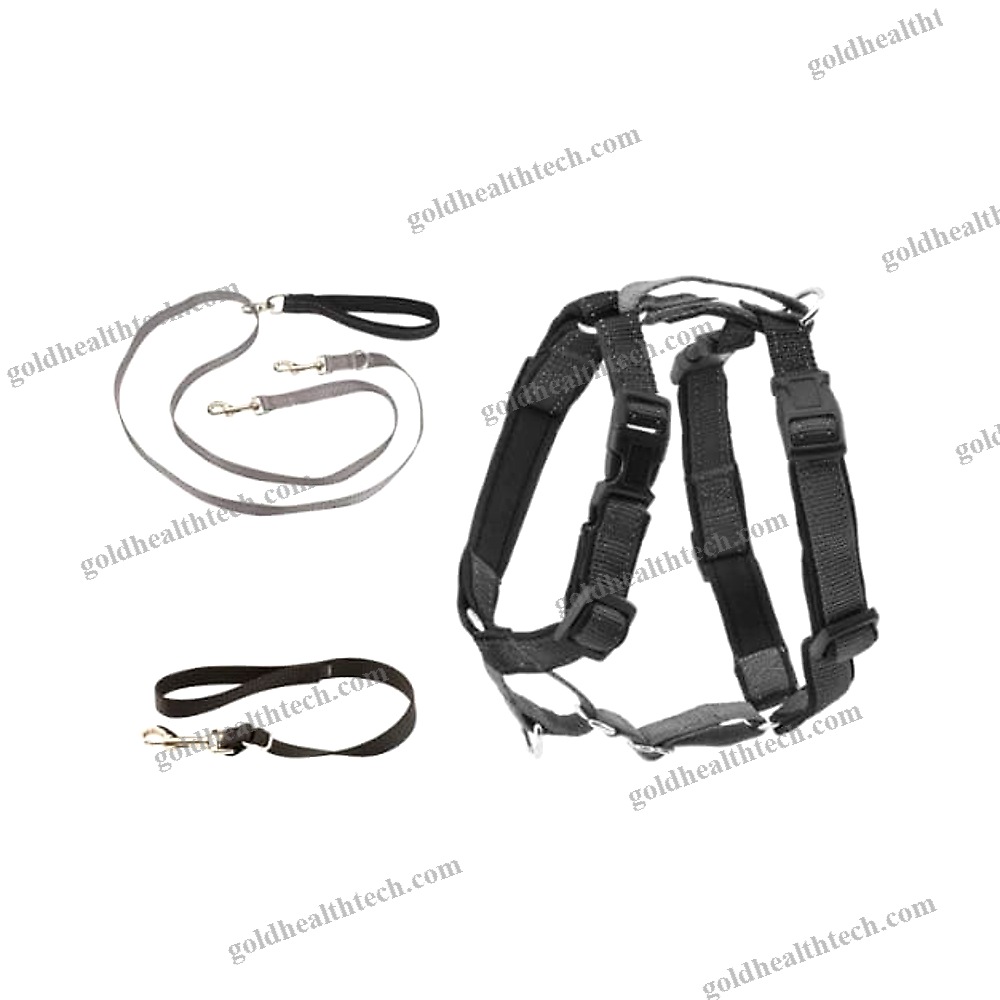 Walking Harness