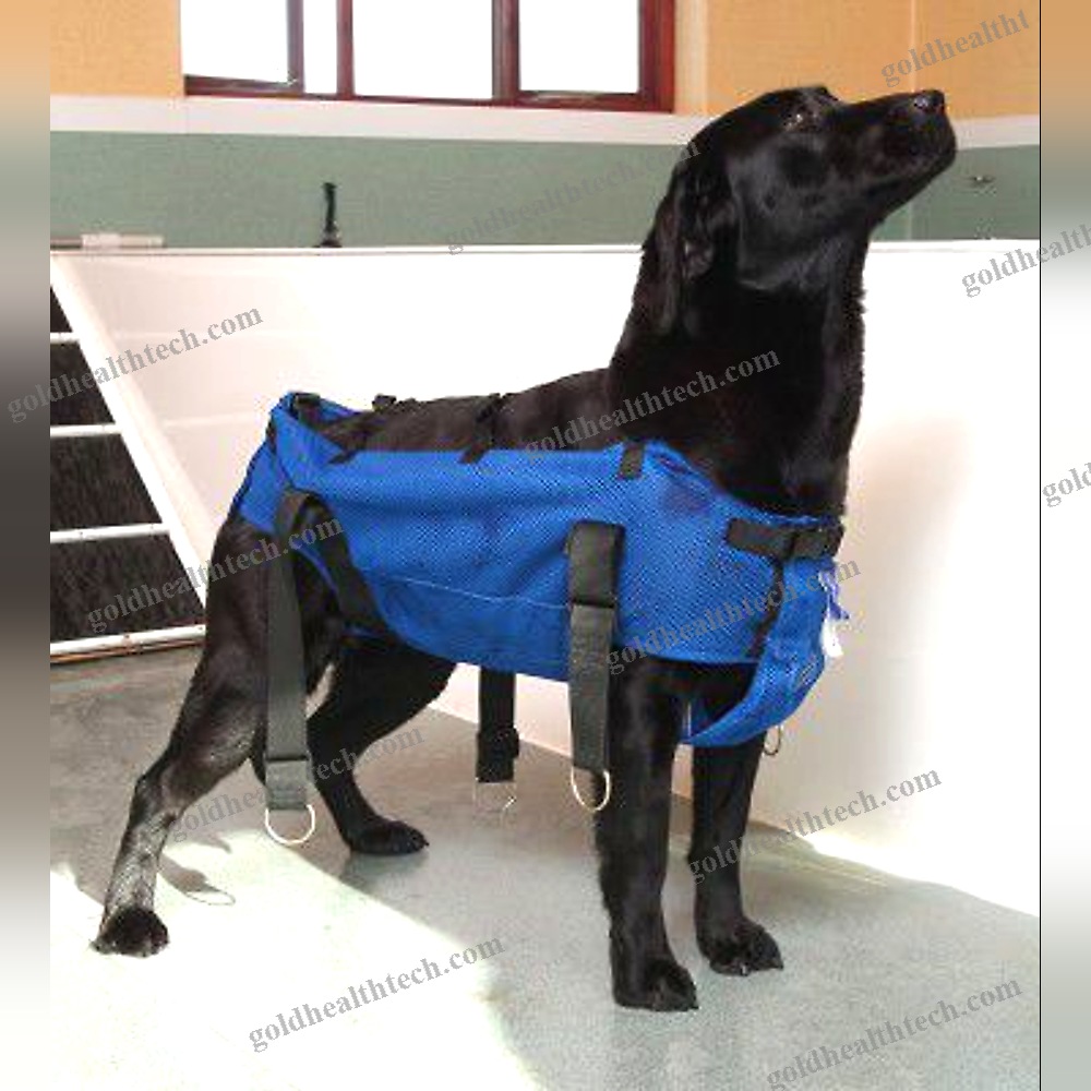 Walking Sling