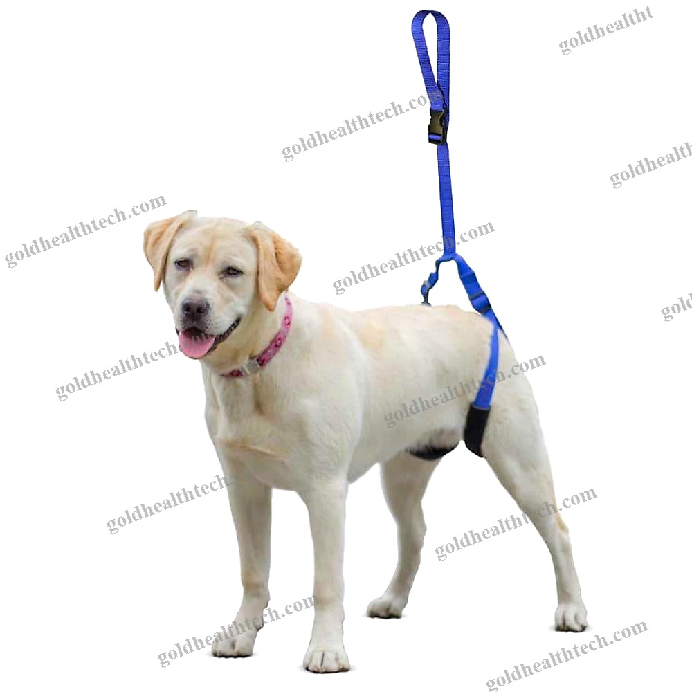 Walking Sling