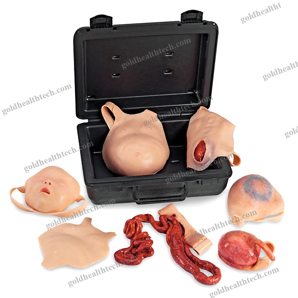 Wound Management Simulator